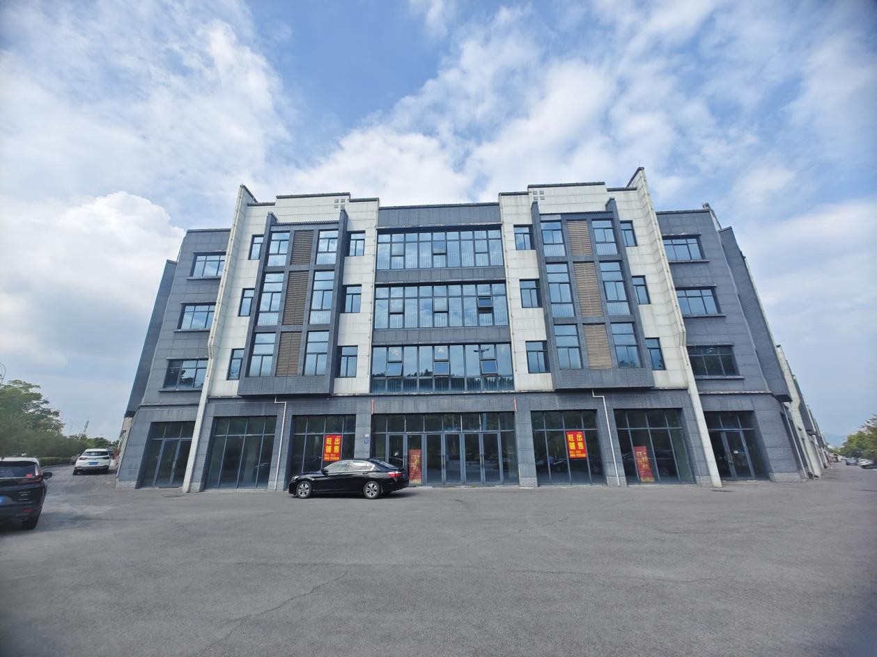 1770020875396 图片2